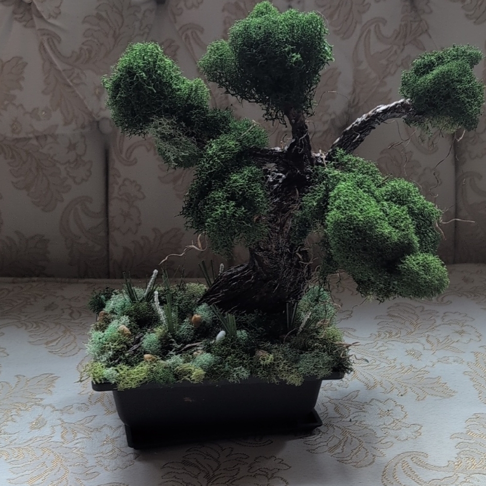 Hand Made Bonsai Tree